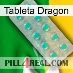 Dragon Tablet 28